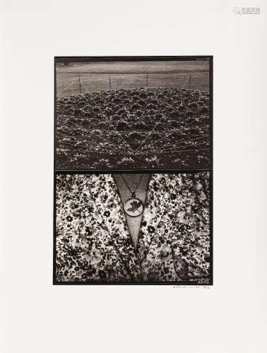 Rafael Navarro (1940), "Diptico", 1982, photograph...