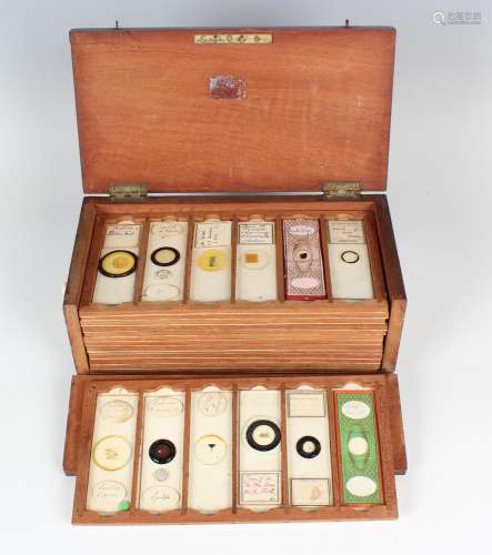 A collection of sixty microscope specimen slides