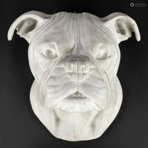 Marcel VANDENHENDE (XIX-XX) 'Bulldog', plaster. (W: 23 x H: ...