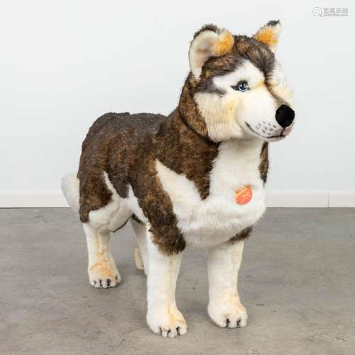 Steiff Studio Husky dark brown, EAN 524363, around 1998-1999...