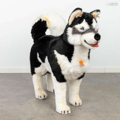 Steiff Studio Husky black, EAN 524417, around 1998-1999. (H:...