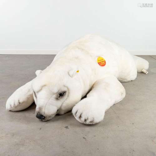 Steiff Studio Polar Bear, EAN 501500, around 1991-1999. (W: ...