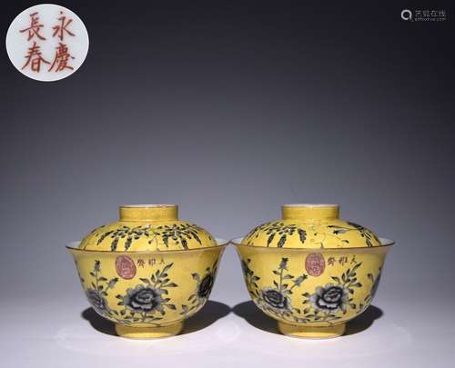 Pair of Chinese Hand Paint Yellow Ground Cups