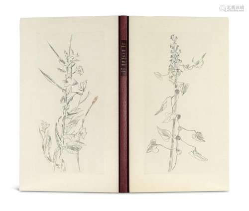 Rohse, Otto Toscanische Blumen. 13 Kupferstiche. Z…