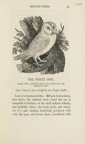 Bewick, Thomas A history of british birds. 2 Bde. …