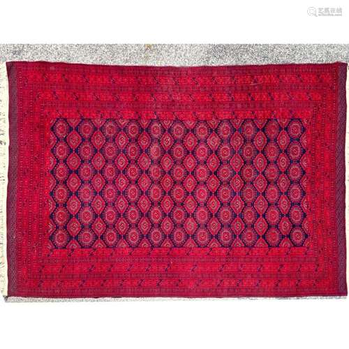 12 6X8 1 RED AND BLUE BOKHARA HANDMADE ORIENTAL CARPET