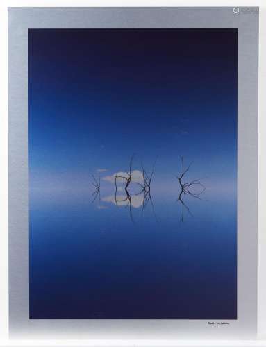 Bart Aldrich "Lost Horizon" Photograph on Metal