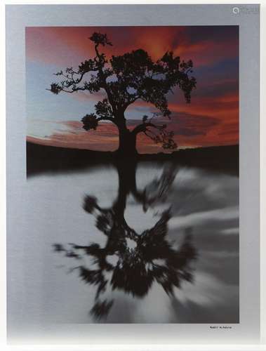 Bart Aldrich "Solitude" Photograph on Metal