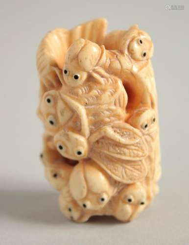 A CARVED BONE BUG NETSUKE. Signed, 1.75ins.