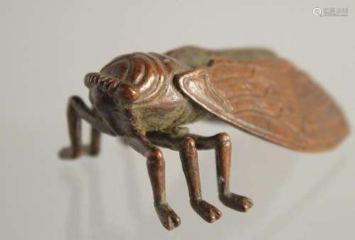 A JAPANESE BRONZE FLY. 2ins long.