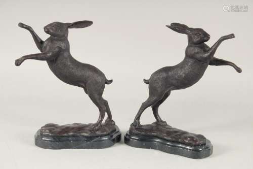 A PAIR OF BRONZE FIGHTING HARES on marble bases. 4ft 4ins hi...