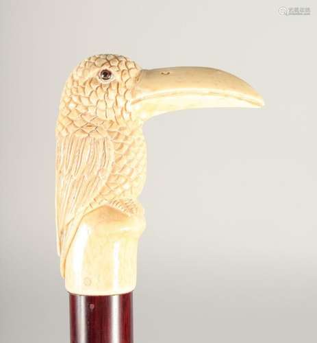 A CARVED BONE HANDLE WALKING STICK,  PARROT  2ft 11ins long.