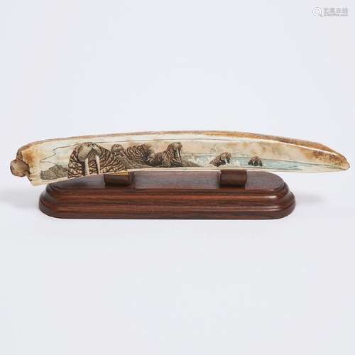 Scrimshawed Fossilised Walrus Ivory Tusk by Karen Lee Carma