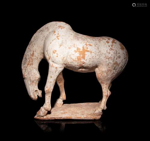 Three Chinese Pottery Equine Figures HORSE FIGURES: TANG DYN...