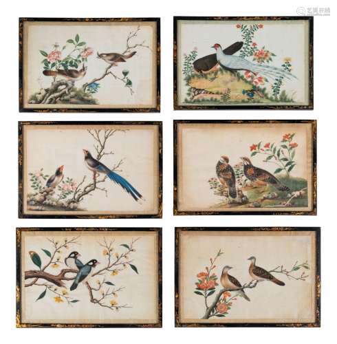 Six Chinese Export Pith Paintings 19TH CENTURY