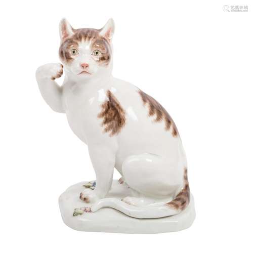 MEISSEN "Katze sich kratzend" 20.Jh.