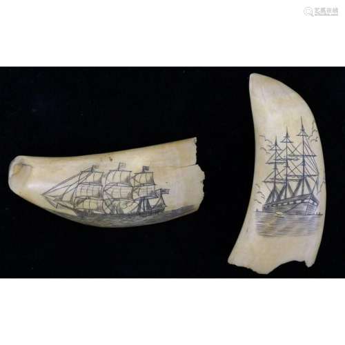(2) Pc. Antique Sperm Whale Teeth Scrimshaw.