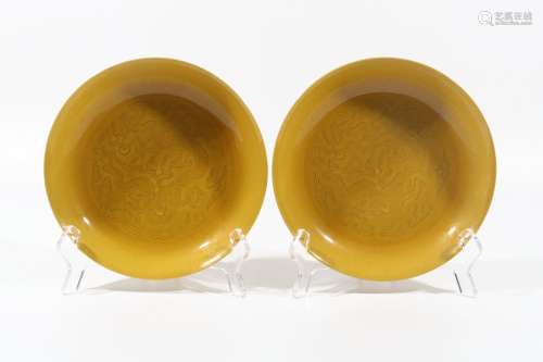1 pair of yellow glaze dragon plate