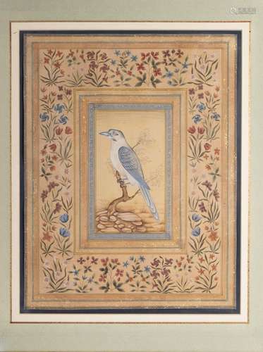 A MUGHAL STYLE PAINTING OF A BIRD, 19TH/20TH CENTURY INDIA