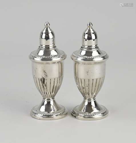 Silver salt and pepper shaker