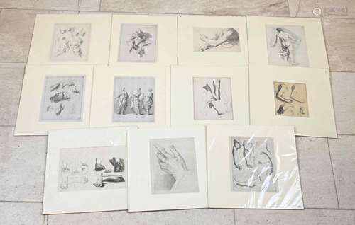 Collection of 11 anatomical studies