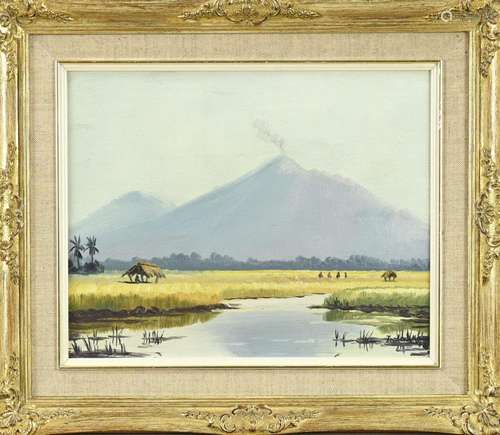 F. Kaxnaa , Indonesian landscape with volcano