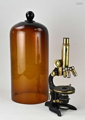 Antique Leitz Wetzlar microscope under bell jar, 1900