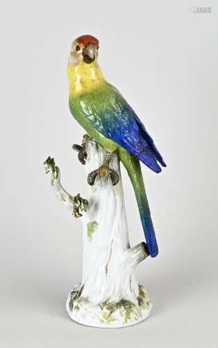 Antique Meissen figure, Parrot type
