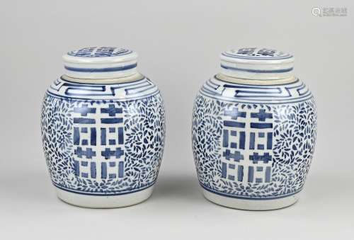 Two Chinese ginger jars Ø 18 cm.