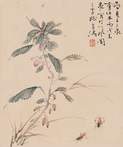 王雪涛 (1903-1982) 花卉