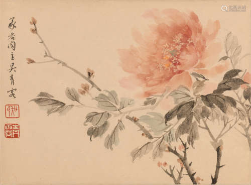 吴青霞 (1908-1999) 花鸟