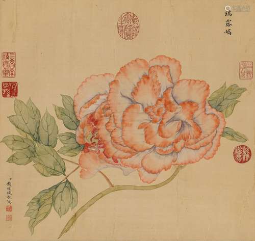 钱维诚 (1720-1772) 牡丹