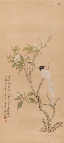 晏济元 b.1901 花鸟