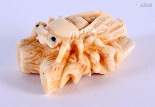 A JAPANESE CARVED FLY NETSUKE. 5 cm x 3 cm.