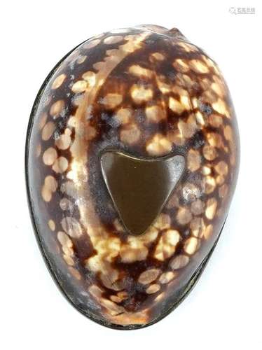 Victorian cowrie shell brass snuff box with shield crest, 5c...