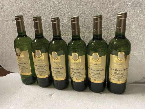 6 bouteilles HENRY DE BELLEGARDE, Les Boutons