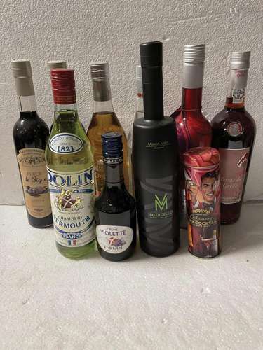 Ensemble de 10 bouteilles : liqueurs et