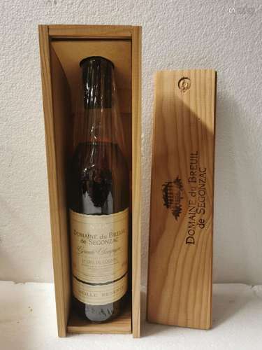 1 bouteille DOMAINE DU BREUIL DE SEGONZAC, Cognac,