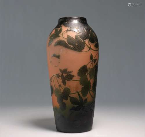 D'ARGENTAL -Grand vase en verre multicouche à décor végétal ...