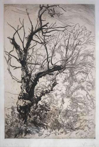 Victor PROUVÉ (1858-1943) Arbre en hiver, 1911. Eau-forte si...