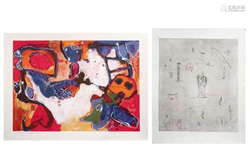 Lot van twee prints in kleur : - n° 8/15 getekend Henk Visch...