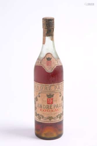 Cognac André Paul (1 bt)