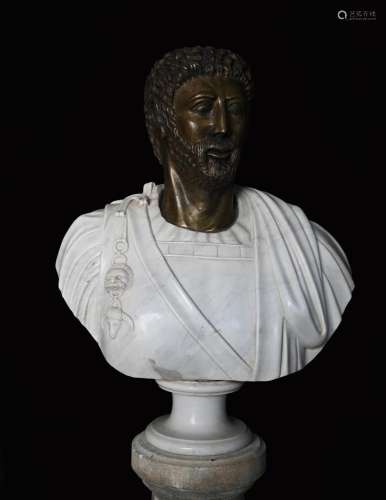 Bust in marble and bronze