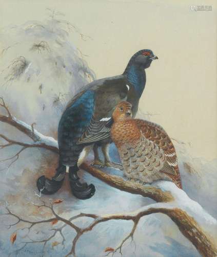 【*】Archibald Thorburn (British, 1860-1935) Black grouse on s...