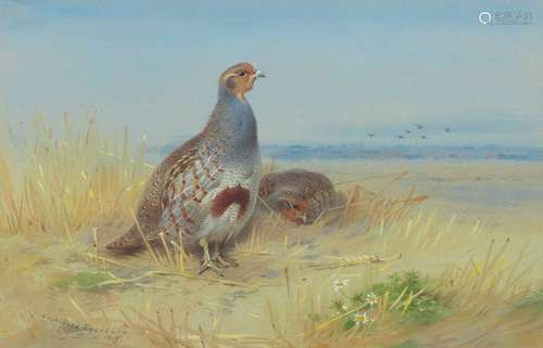 【*】Archibald Thorburn (British, 1860-1935) Partridge 18.2 x ...