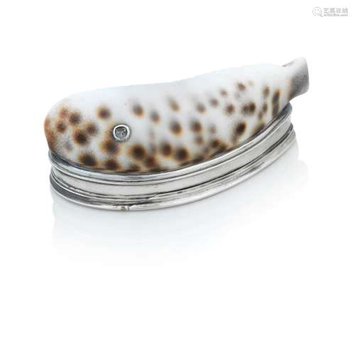 A RARE GEORGE III COWRIE  SHELL SNUFF BOX Unmarked