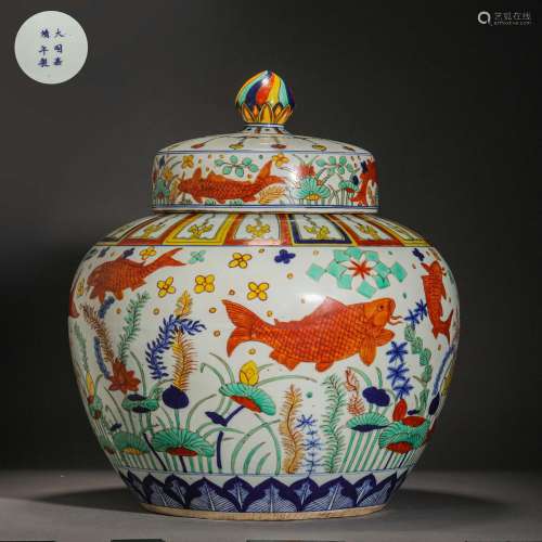 Ming Dynasty,Multicolored Fish Pattern Jar