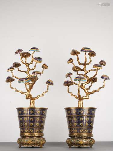 Pair of Qing Chinese Cloisonne Enamel Flower Pots