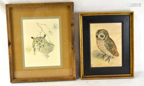 Two Framed Owl Prints