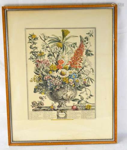 Framed Print of "December" Flowers